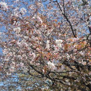 ルールが変わります